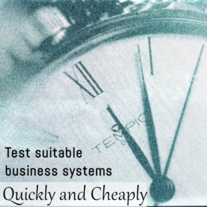 test suitable business systems quickly and cheaply